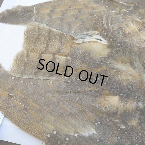 画像5: 【CANAL】BARN OWL コンプリート (5)