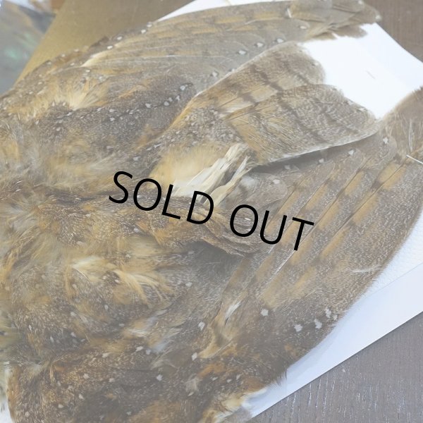 画像7: 【CANAL】BARN OWL コンプリート (7)