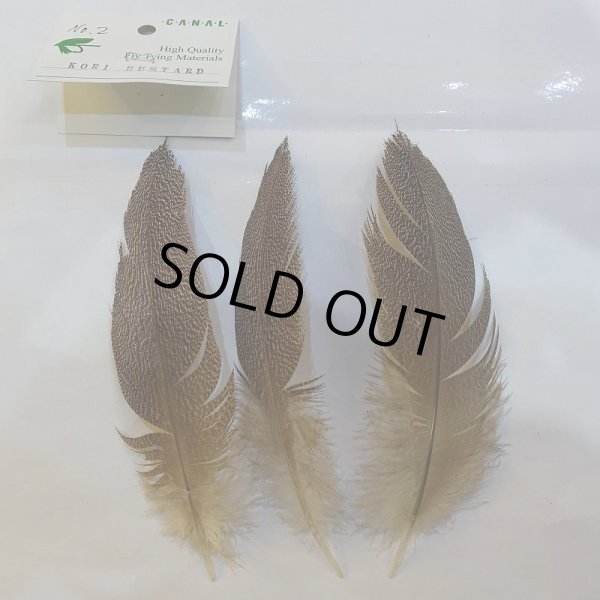 画像2: 【CANAL】Kori Bustard(スペックルドバスタード) XSサイズ (2)