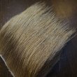 画像3: 【ANGLE】Natural BULL ELK HAIR(NA-LT) (3)