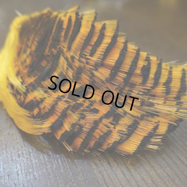 画像3: 【ANGLE】ゴールデンフェザント コンプリートヘッド (3)