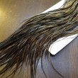 画像6: 【Whiting】HERITAGE ROOSTER SADDLE GRADE1 No.3 #16 (6)