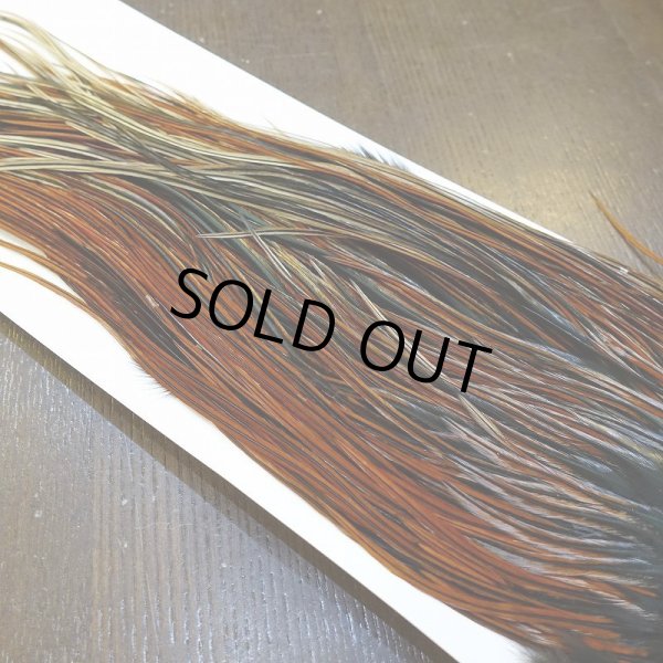 画像4: 【Whiting】HERITAGE ROOSTER SADDLE GRADE3 No.1 #16 (4)