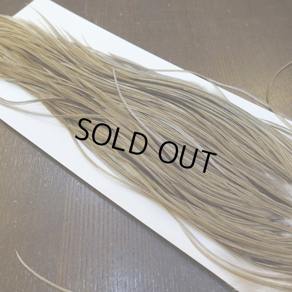 画像4: 【Whiting】HERITAGE ROOSTER SADDLE GRADE3 No.5 #16 (4)