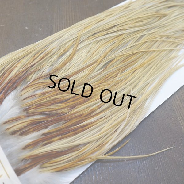 画像3: 【Whiting】HERITAGE ROOSTER SADDLE GRADE3 No.3 #16 (3)