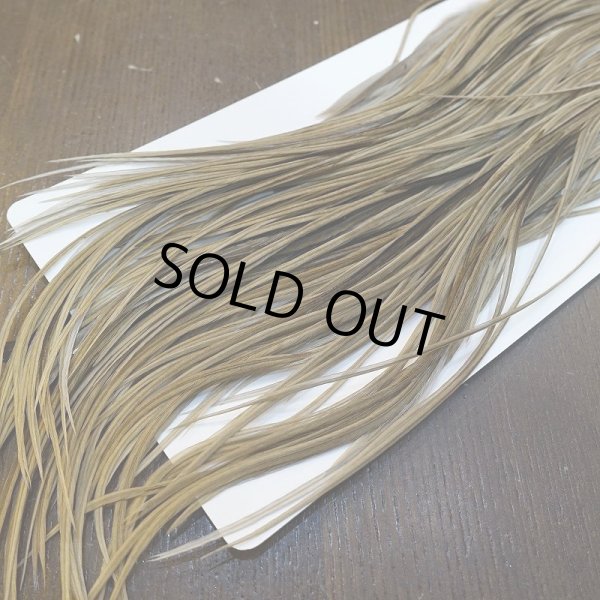 画像5: 【Whiting】HERITAGE ROOSTER SADDLE GRADE3 No.5 #16 (5)