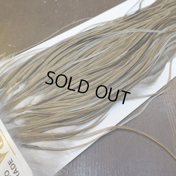 画像3: 【Whiting】HERITAGE ROOSTER SADDLE GRADE3 No.5 #16 (3)