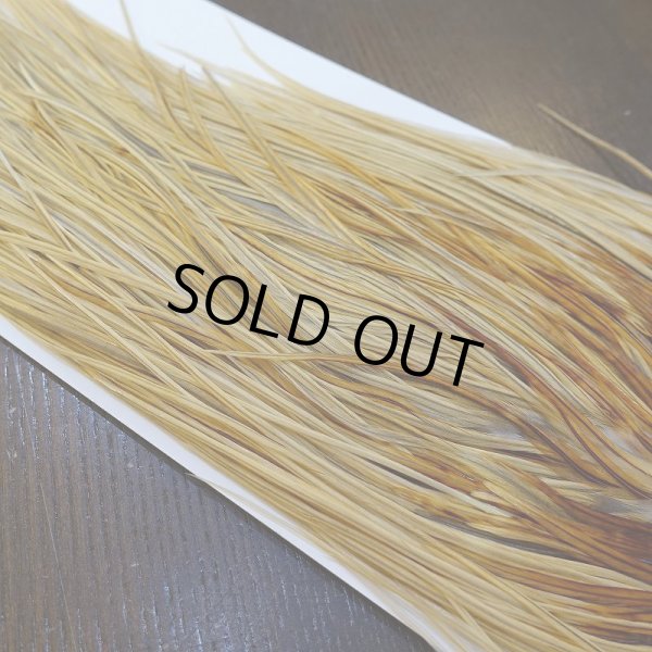 画像4: 【Whiting】HERITAGE ROOSTER SADDLE GRADE3 No.3 #16 (4)