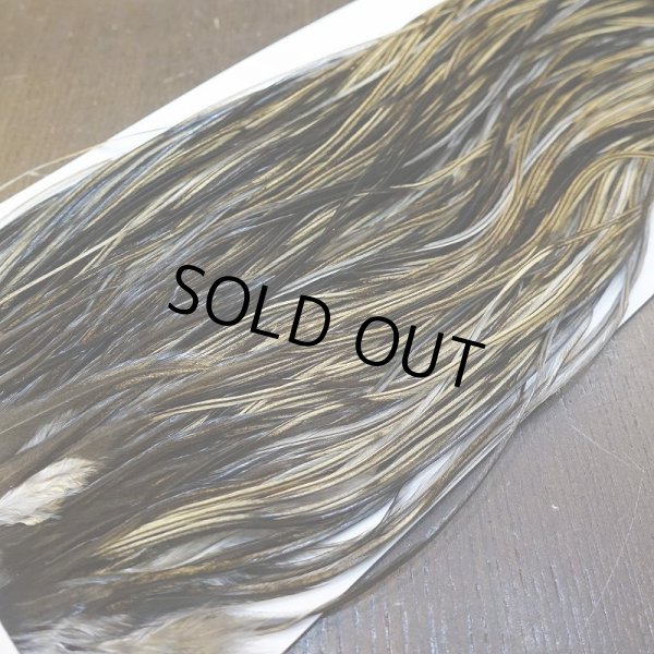 画像4: 【Whiting】HERITAGE ROOSTER SADDLE GRADE1 No.3 #16 (4)