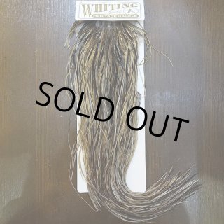 Whiting Hackle | ホワイティングハックル 全商品一覧 (Page 1)
