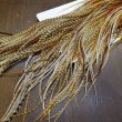 画像6: 【Whiting】HERITAGE ROOSTER SADDLE GRADE1 No.1 #16 (6)