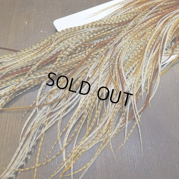 画像6: 【Whiting】HERITAGE ROOSTER SADDLE GRADE1 No.1 #16 (6)