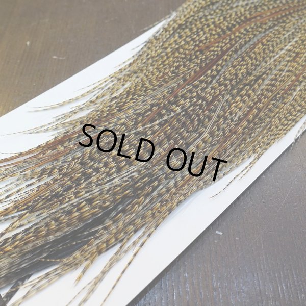 画像5: 【Whiting】HERITAGE ROOSTER SADDLE GRADE3 No.2 #16 (5)