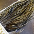 画像4: 【Whiting】HERITAGE ROOSTER SADDLE GRADE1 No.2 #16 (4)