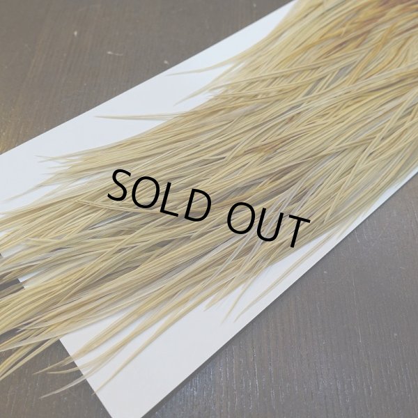 画像5: 【Whiting】HERITAGE ROOSTER SADDLE GRADE3 No.3 #16 (5)