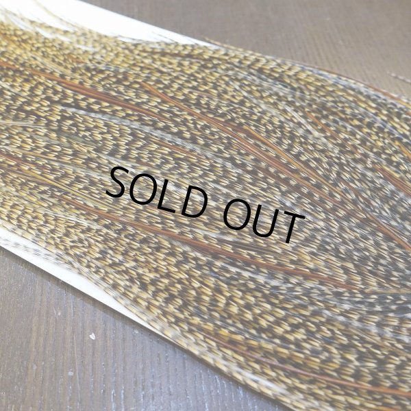 画像4: 【Whiting】HERITAGE ROOSTER SADDLE GRADE3 No.2 #16 (4)