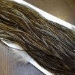 画像5: 【Whiting】HERITAGE ROOSTER SADDLE GRADE1 No.4 #16 (5)