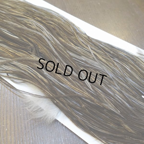 画像5: 【Whiting】HERITAGE ROOSTER SADDLE GRADE1 No.4 #16 (5)