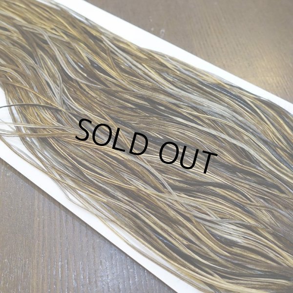 画像4: 【Whiting】HERITAGE ROOSTER SADDLE GRADE3 No.4 #16 (4)