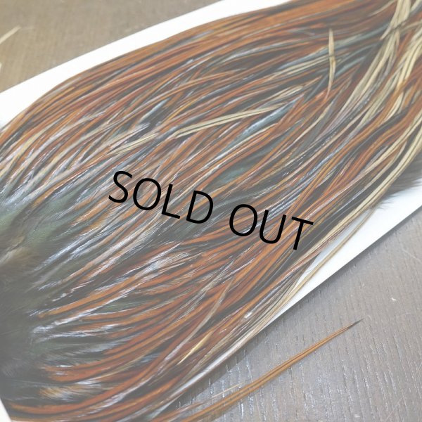 画像3: 【Whiting】HERITAGE ROOSTER SADDLE GRADE3 No.1 #16 (3)