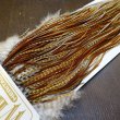 画像4: 【Whiting】HERITAGE ROOSTER SADDLE GRADE1 No.1 #16 (4)