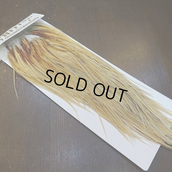 画像2: 【Whiting】HERITAGE ROOSTER SADDLE GRADE3 No.3 #16 (2)