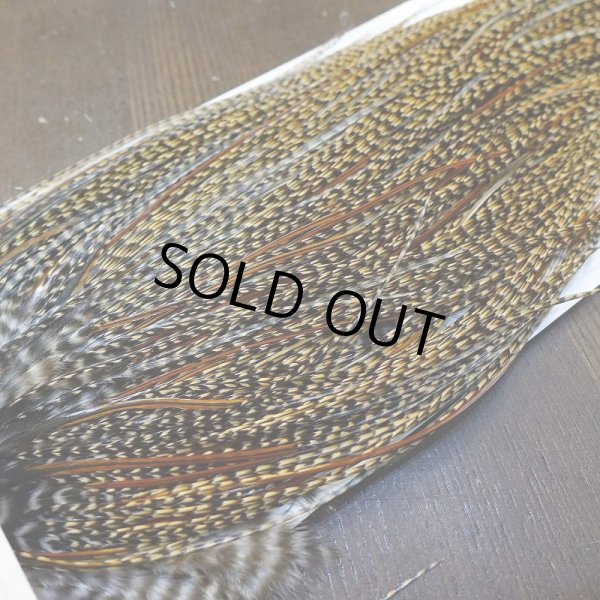 画像3: 【Whiting】HERITAGE ROOSTER SADDLE GRADE3 No.2 #16 (3)