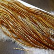 画像5: 【Whiting】HERITAGE ROOSTER SADDLE GRADE1 No.1 #16 (5)