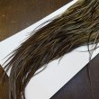 画像5: 【Whiting】HERITAGE ROOSTER SADDLE GRADE3 No.4 #16 (5)