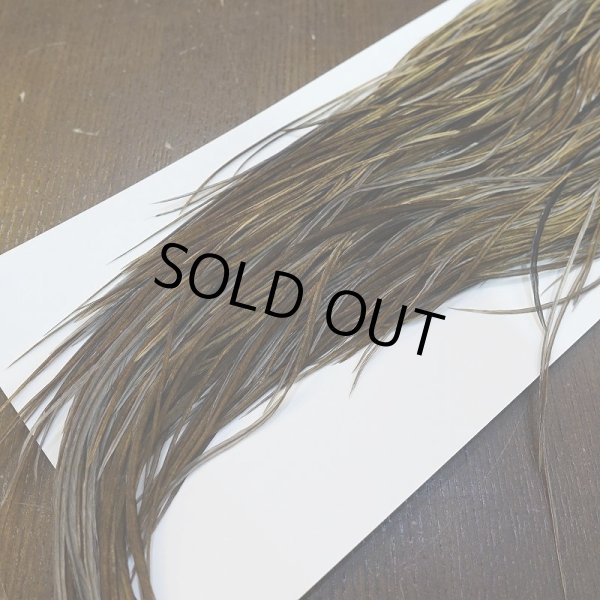 画像5: 【Whiting】HERITAGE ROOSTER SADDLE GRADE3 No.4 #16 (5)