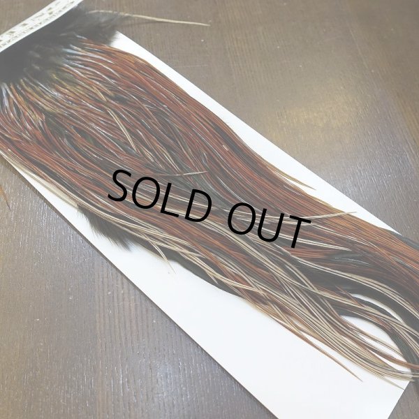 画像2: 【Whiting】HERITAGE ROOSTER SADDLE GRADE3 No.1 #16 (2)