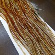 画像2: 【Whiting】HERITAGE ROOSTER SADDLE GRADE1 No.1 #16 (2)