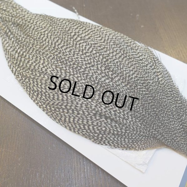 画像4: 【WHITING】High & Dry ROOSTER Cape - Grizzly No.2 (4)