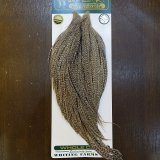 Whiting Hackle | ホワイティングハックル 全商品一覧 (Page 5)