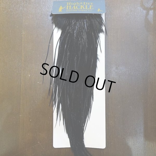 画像1: 【WHITING】High & Dry ROOSTER SADDLE - BLACK No.2 #16 (1)