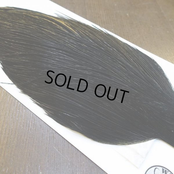 画像4: 【WHITING】Hebert ROOSTER CAPE Silver grade - DYED BLACK No.2 (4)