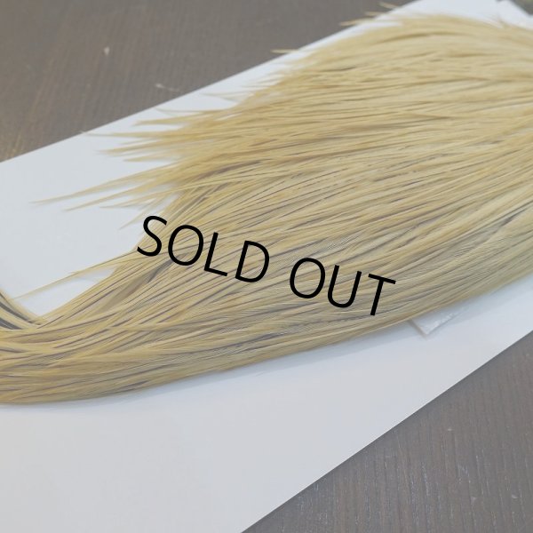 画像5: 【WHITING】High & Dry ROOSTER Cape - LIGHT GINGER No.1 (5)