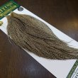 画像2: 【WHITING】Hebert ROOSTER CAPE Silver grade - DUN GRIZZLY No.2 (2)