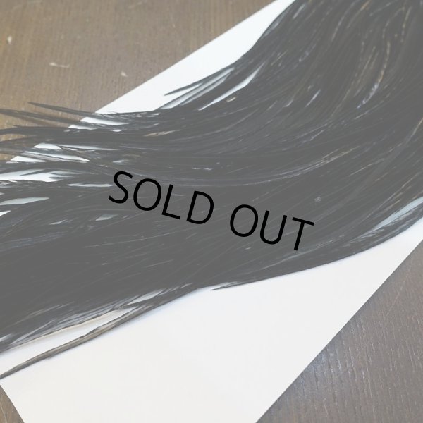 画像5: 【WHITING】High & Dry ROOSTER SADDLE - BLACK No.5 #16 (5)