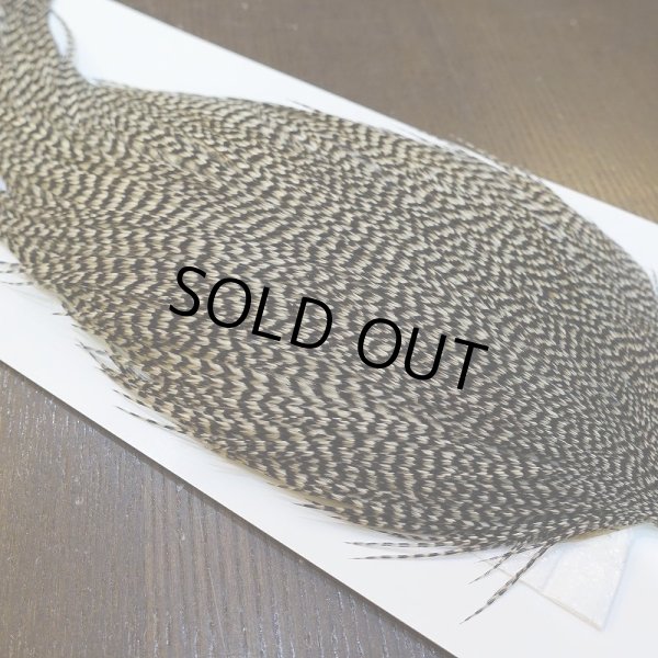 画像4: 【WHITING】High & Dry ROOSTER Cape - Grizzly No.3 (4)