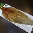 画像2: 【WHITING】Hebert ROOSTER CAPE Silver grade - BARRED DARK GINGER (2)