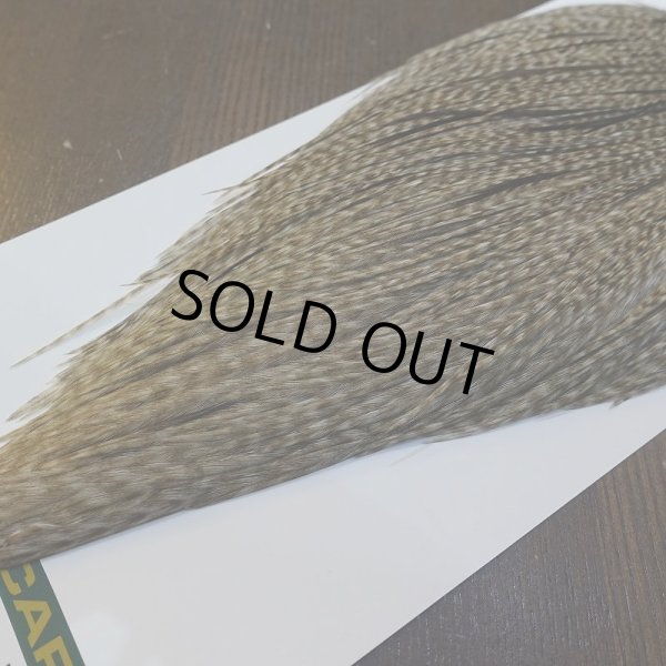 画像5: 【WHITING】Hebert ROOSTER CAPE Silver grade - DUN GRIZZLY No.1 (5)