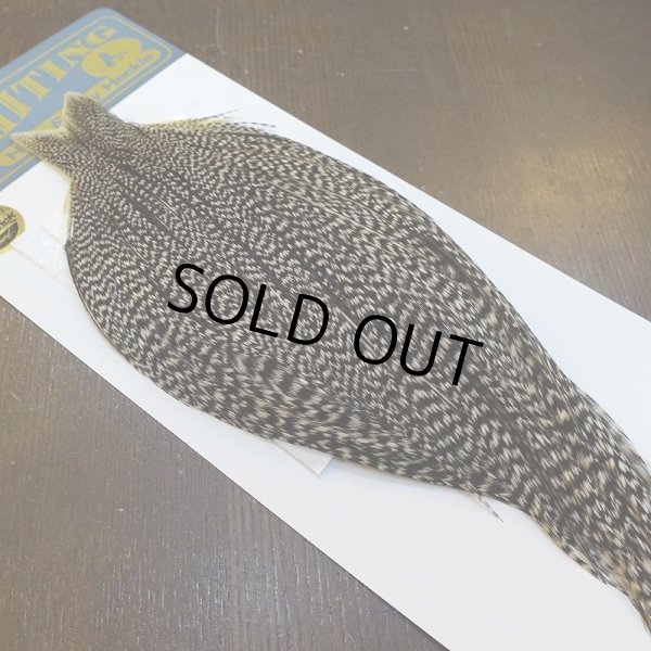 画像2: 【WHITING】High & Dry ROOSTER Cape - Grizzly Variant No.2 (2)