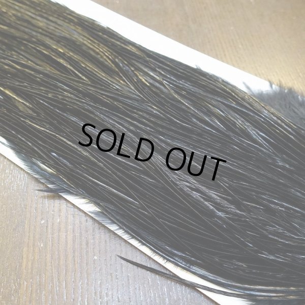 画像4: 【WHITING】High & Dry ROOSTER SADDLE - BLACK No.3 #14 (4)