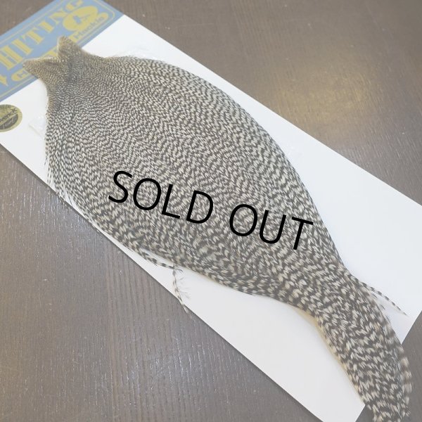 画像2: 【WHITING】High & Dry ROOSTER Cape - Grizzly No.2 (2)