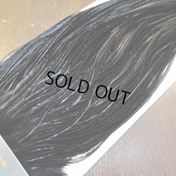 画像3: 【WHITING】High & Dry ROOSTER SADDLE - BLACK No.5 #16 (3)