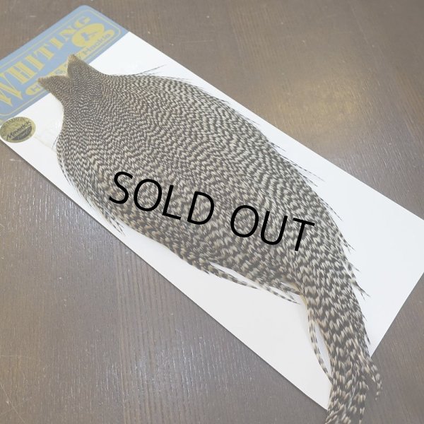 画像2: 【WHITING】High & Dry ROOSTER Cape - Grizzly No.3 (2)