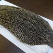 画像4: 【WHITING】Hebert ROOSTER CAPE Silver grade - Grizzly Variant (4)