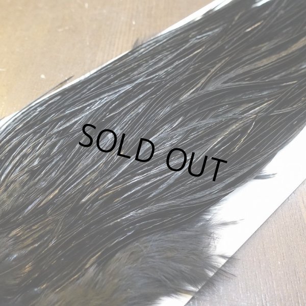 画像3: 【WHITING】High & Dry ROOSTER SADDLE - BLACK No.3 #14 (3)