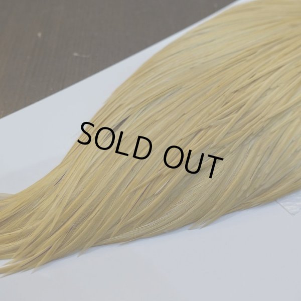 画像5: 【WHITING】High & Dry ROOSTER Cape - LIGHT GINGER No.2 (5)